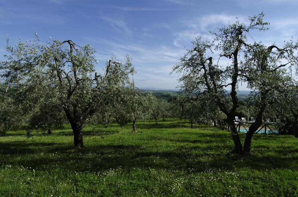 Agriturismo Poggio Bonelli Castelnuovo Berardenga Εξωτερικό φωτογραφία