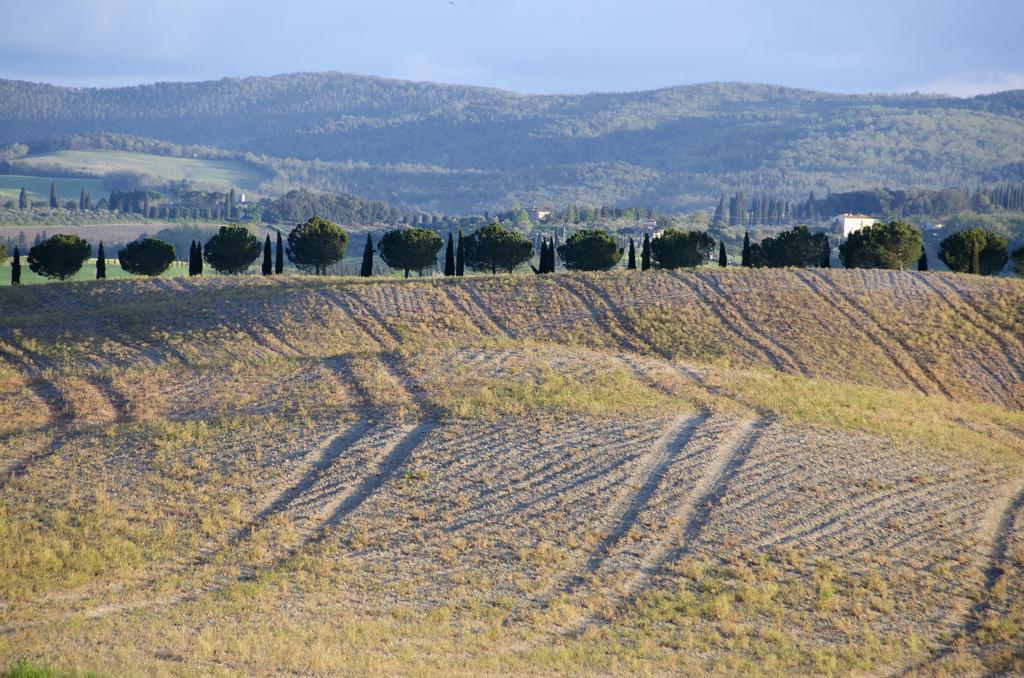 Agriturismo Poggio Bonelli Castelnuovo Berardenga Εξωτερικό φωτογραφία