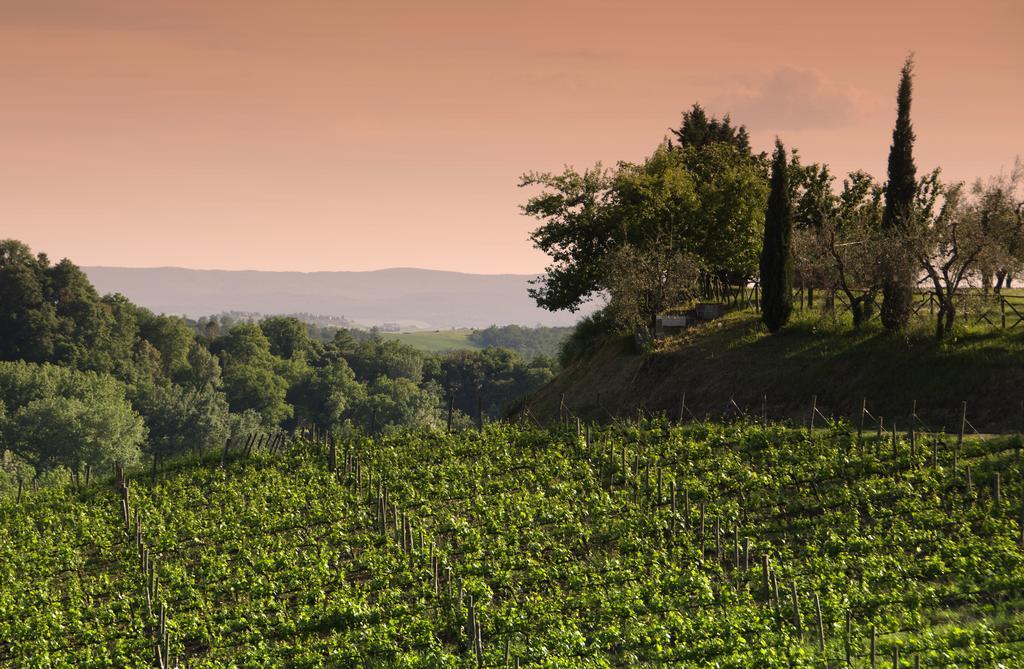 Agriturismo Poggio Bonelli Castelnuovo Berardenga Εξωτερικό φωτογραφία