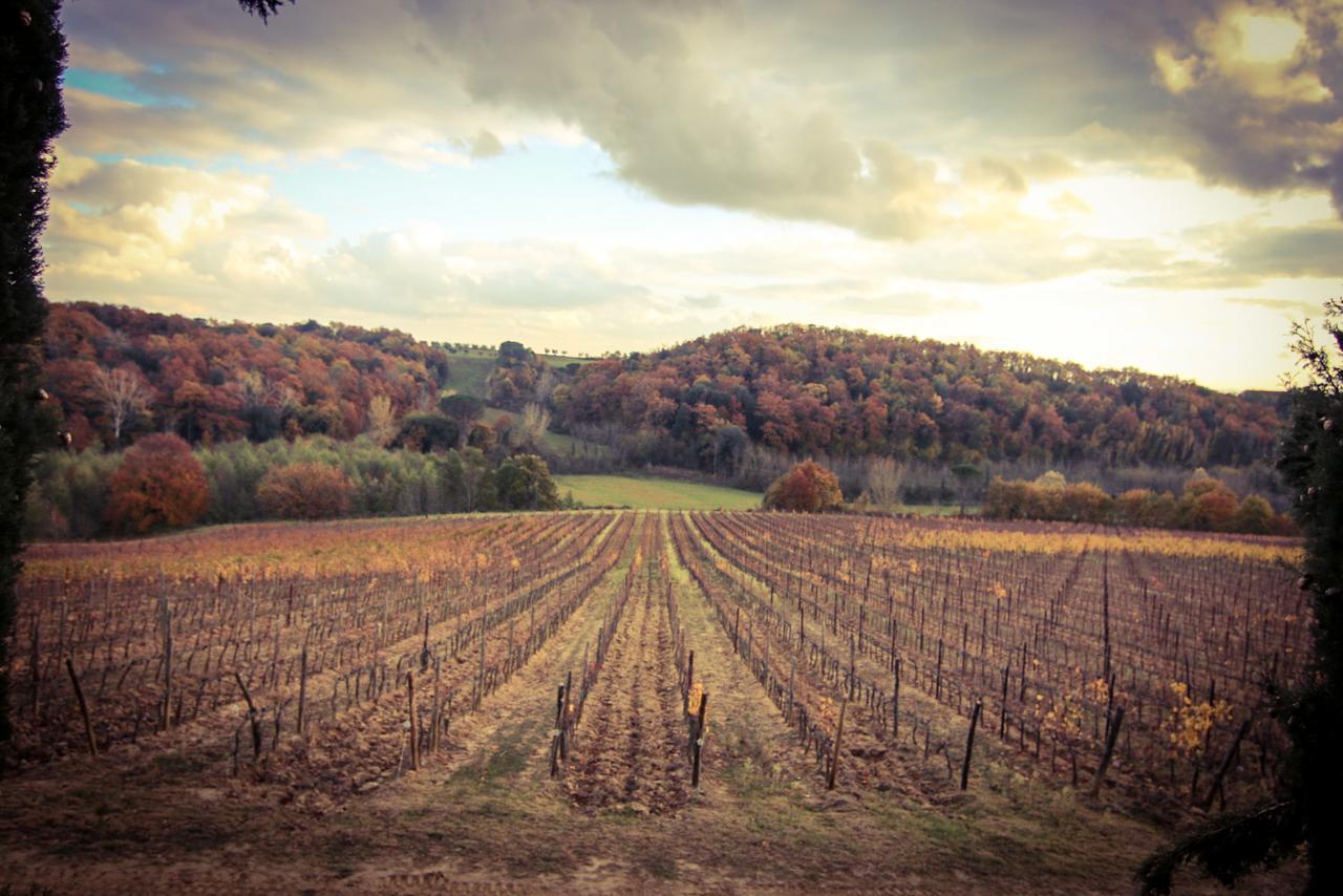 Agriturismo Poggio Bonelli Castelnuovo Berardenga Εξωτερικό φωτογραφία