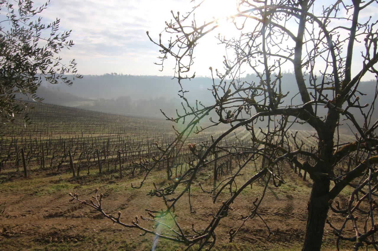 Agriturismo Poggio Bonelli Castelnuovo Berardenga Εξωτερικό φωτογραφία
