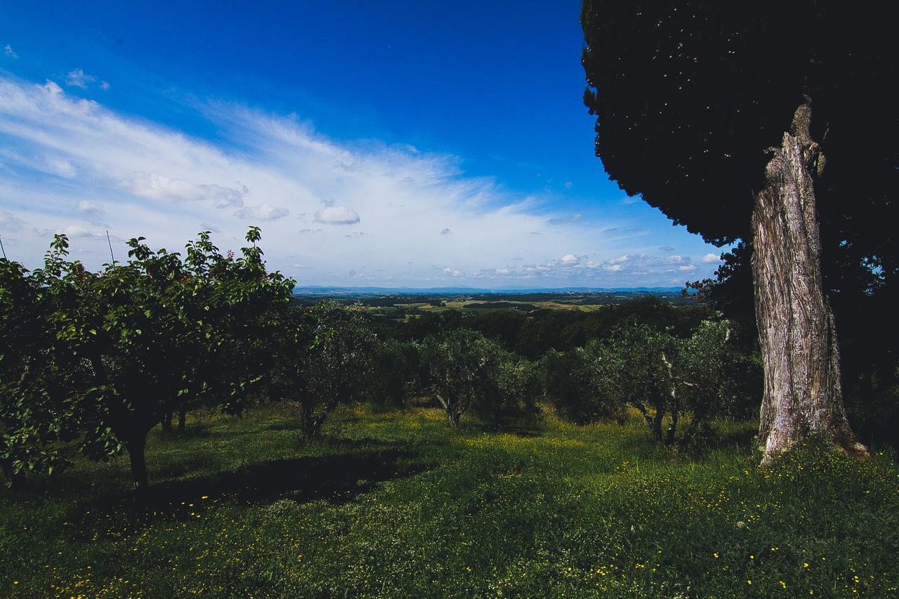Agriturismo Poggio Bonelli Castelnuovo Berardenga Εξωτερικό φωτογραφία